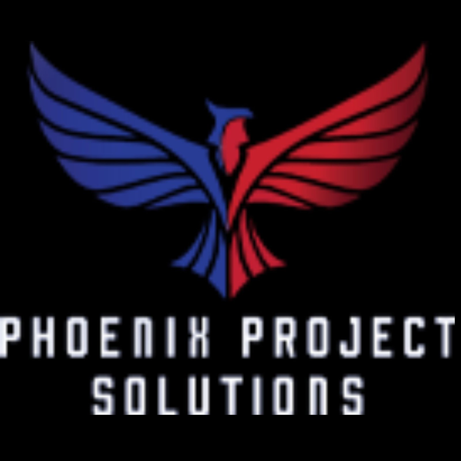 Phoenix Project Solutions